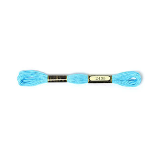 Nici do haftu Metis 2435 | DMC 3846, 