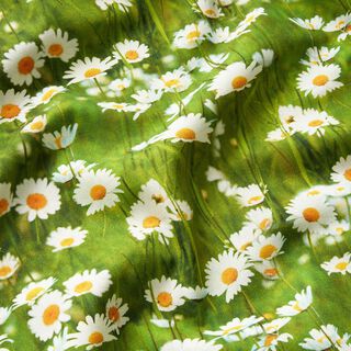Tkanin dekoracyjna Half panama stokrotkowa łąka – trawiasta zieleń/biel, 