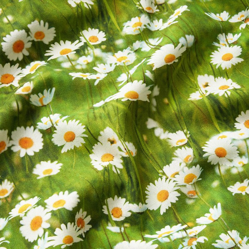 Tkanin dekoracyjna Half panama stokrotkowa łąka – trawiasta zieleń/biel,  image number 2