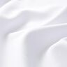 Classic Poly &ndash; biel,  thumbnail number 2