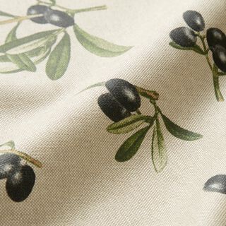 Bawełna powlekana gałązki oliwne – naturalny/pinia, 