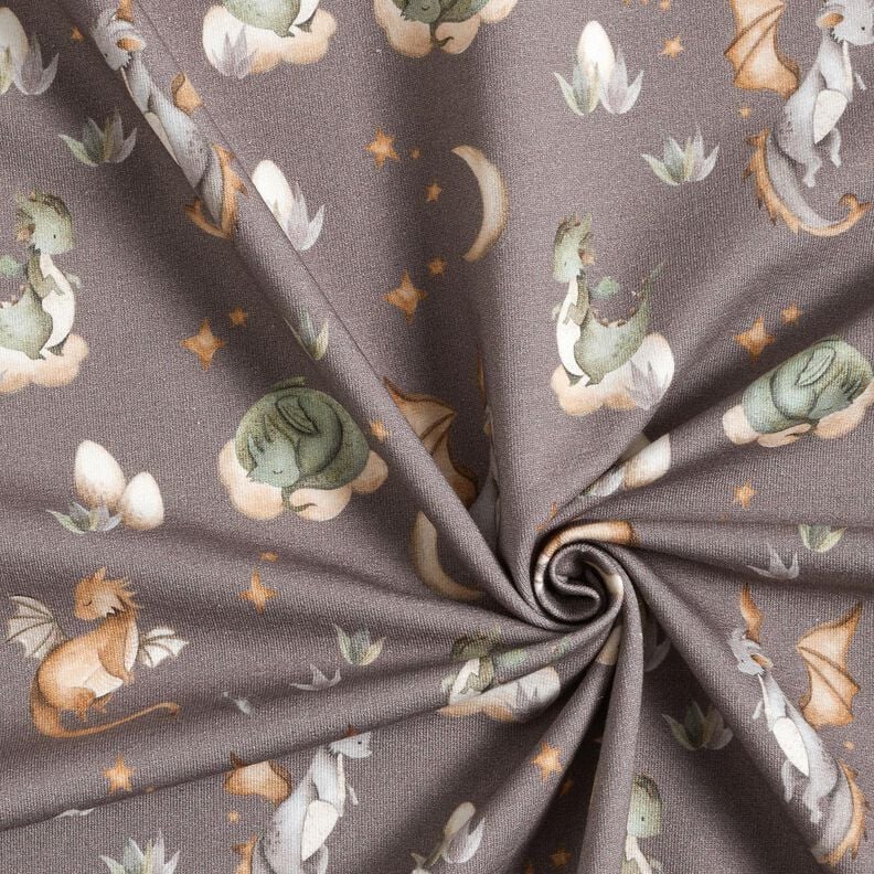 Dzianina dresowa pętelkowa French Terry śliczne smoki nadruk cyfrowy – ciemny szarobrązowy,  image number 3