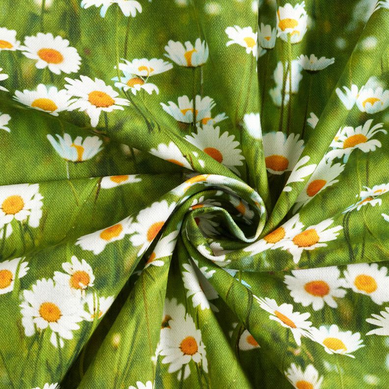 Tkanin dekoracyjna Half panama stokrotkowa łąka – trawiasta zieleń/biel,  image number 3