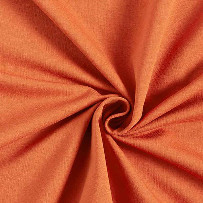 Lekka dresówka pętelkowa french terry jednokol. – brąz sarni,  image number 1