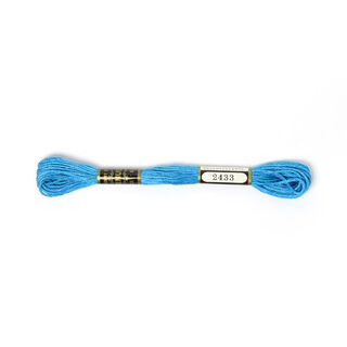 Nici do haftu Metis 2433 | DMC 3843, 