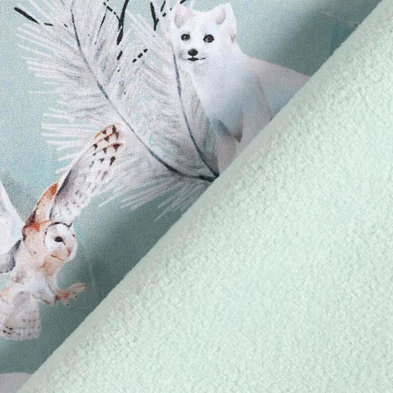 Softshell lis polarny i płomykówka nadruk cyfrowy – jasny miętowy,  image number 5