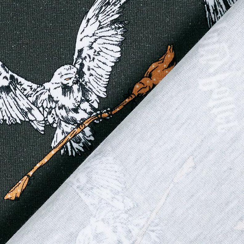 Dżersej bawełniany Tkanina na licencji Harry Potter, Hedwiga z miotłą | Warner Bros. – szary łupek,  image number 4