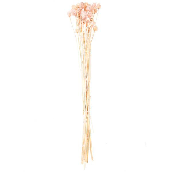 Suszona szczeć japońska [ 50 g ] | Rico Design – pink,  image number 4