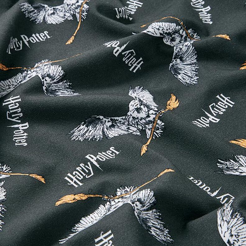Dżersej bawełniany Tkanina na licencji Harry Potter, Hedwiga z miotłą | Warner Bros. – szary łupek,  image number 2