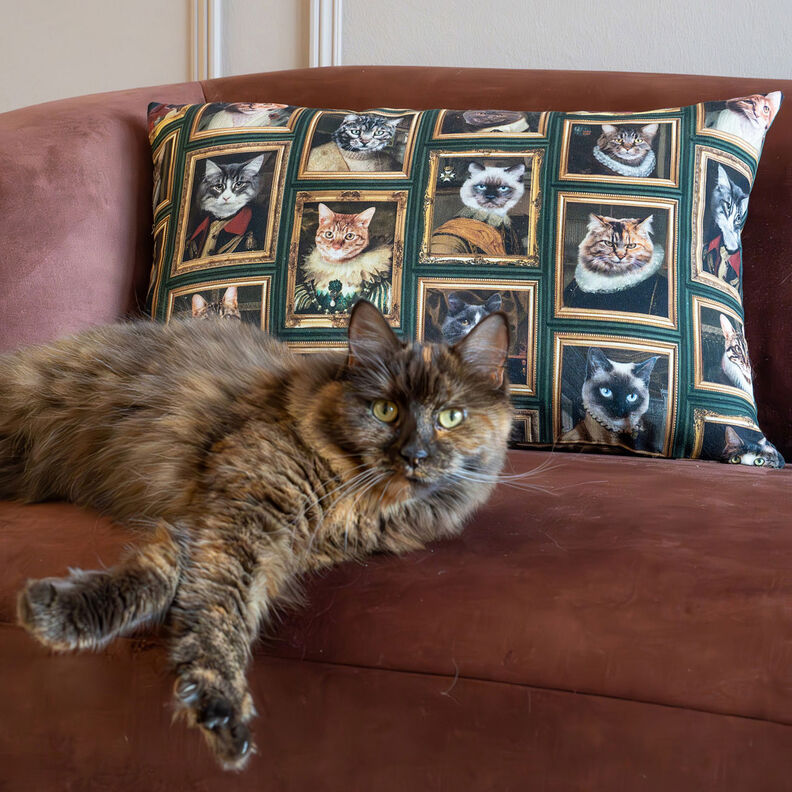 Tkanin dekoracyjna Half panama portrety kotów – ciemna zieleń/złoto,  image number 5