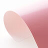 Folia winylowa Din A4 – pink,  thumbnail number 3