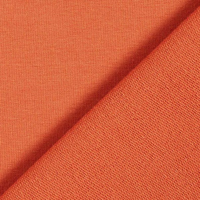 Lekka dresówka pętelkowa french terry jednokol. – brąz sarni,  image number 4