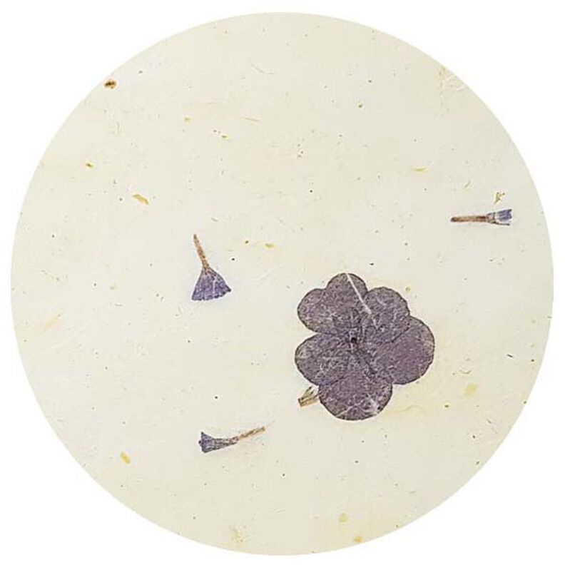 Zestaw papieru naturalnego  "Paper Nature Viola",  image number 3