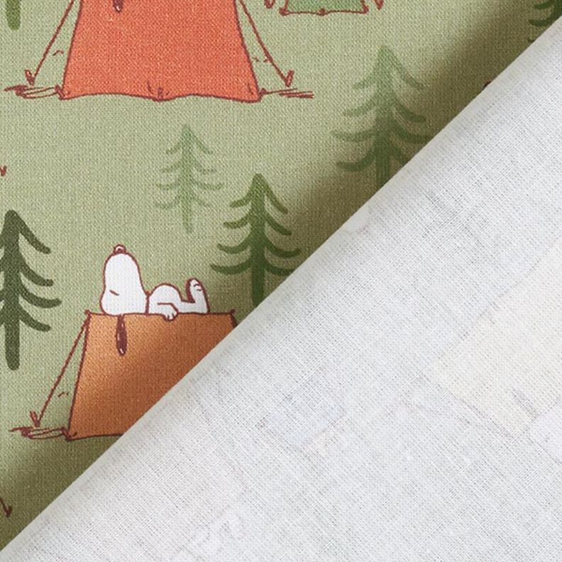 Popelina bawełniana tkanina na licencji Snoopy i Woodstock przy namiotach | Peanuts ™ – pistacja,  image number 4