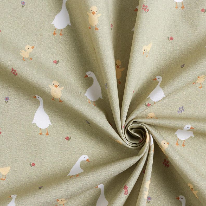 GOTS Popelina bawełniana urocze gęsi i pisklęta | Poppy Fabrics – greige,  image number 3