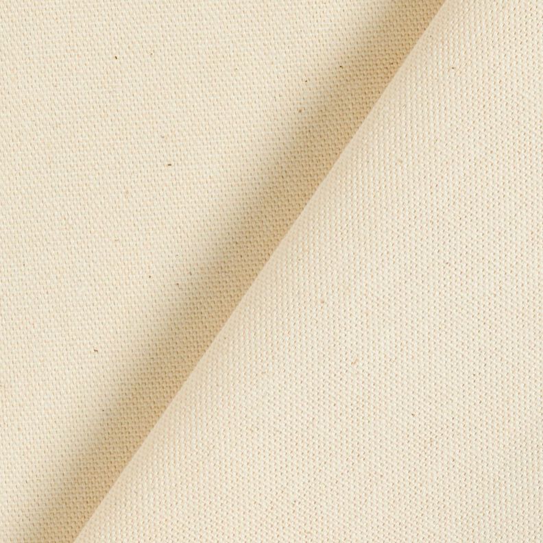 Tkanin dekoracyjna Half panama bezbarwny 295 cm – naturalny,  image number 3