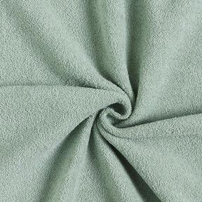 Bawełna Dzianina dresowa Terry Fleece – zieleń trzcinowa, 