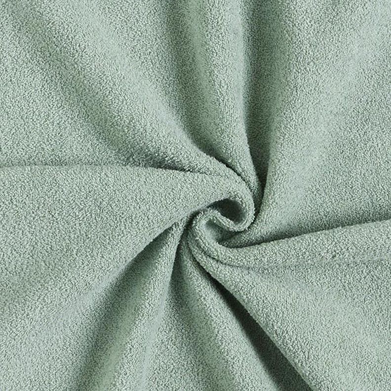 Bawełna Dzianina dresowa Terry Fleece – zieleń trzcinowa,  image number 1