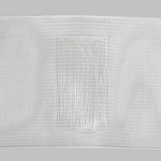 Taśma ze szlufkami 100 mm | 1, 