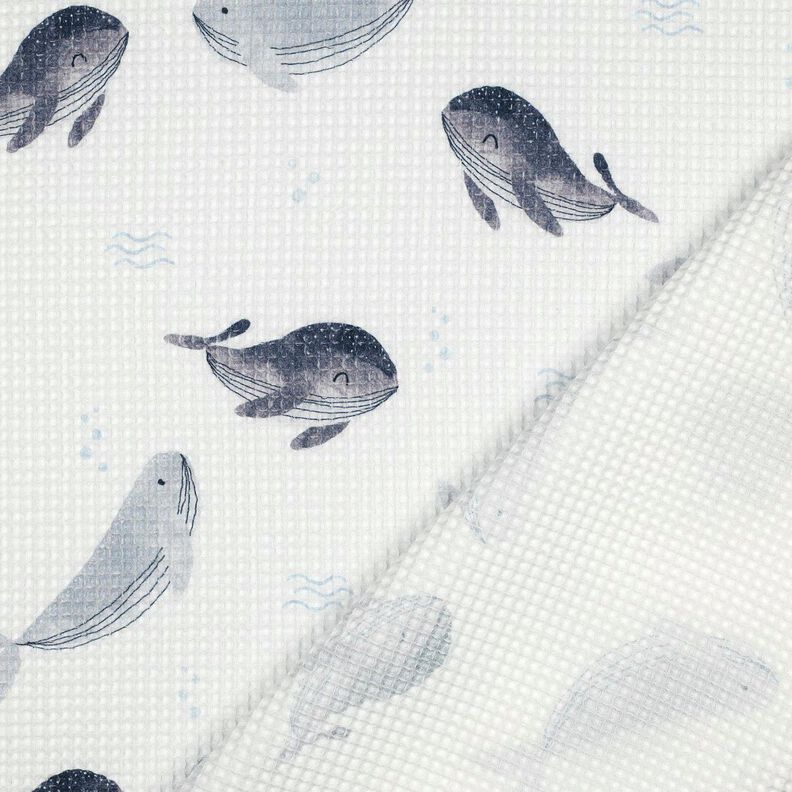 Pika waflowa wieloryby nadruk cyfrowy | Poppy Fabrics – kość słoniowa/szary błękit,  image number 4