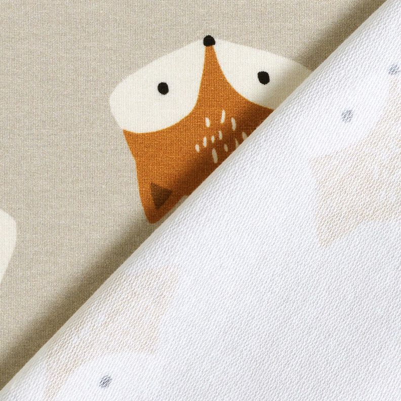 French Terry ma?y lis – srebrnoszary,  image number 4