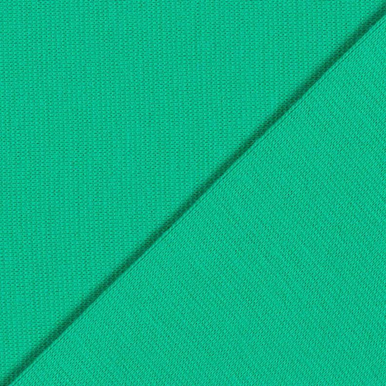 Dzianina ściągaczowa jednokol. – zieleń,  image number 5