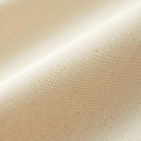 Tkanin dekoracyjna Half panama bezbarwny 145 cm – naturalny, 