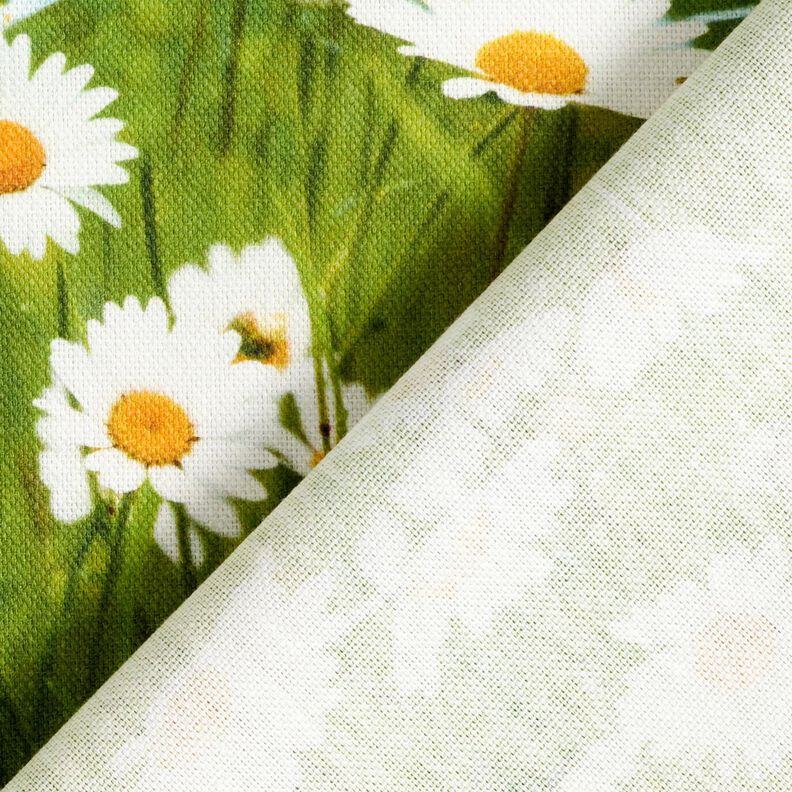Tkanin dekoracyjna Half panama stokrotkowa łąka – trawiasta zieleń/biel,  image number 4