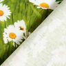 Tkanin dekoracyjna Half panama stokrotkowa łąka – trawiasta zieleń/biel,  thumbnail number 4