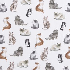 Popelina bawełniana szczęśliwe koty nadruk cyfrowy | Poppy Fabrics – biel, 