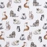 Popelina bawełniana szczęśliwe koty nadruk cyfrowy | Poppy Fabrics – biel,  thumbnail number 1